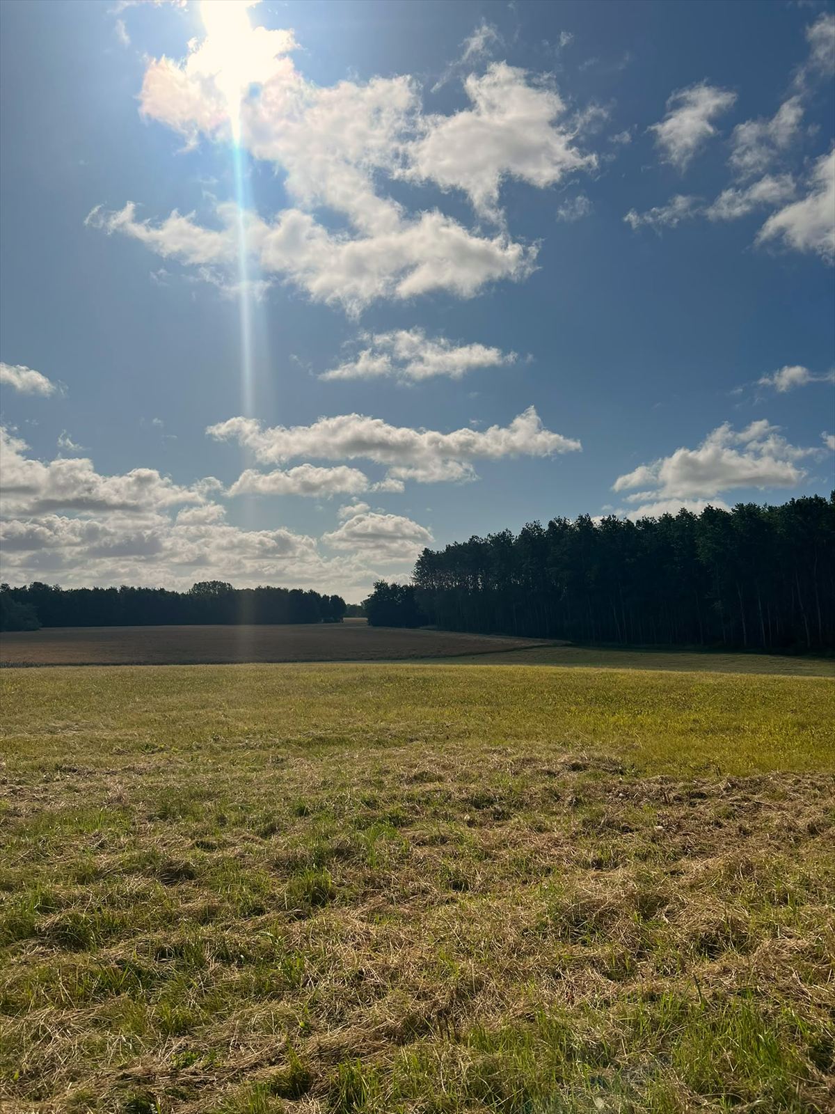 Naturen omkring Svaleholm